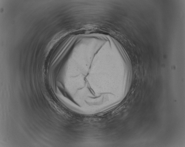 X0000072920242200608181258