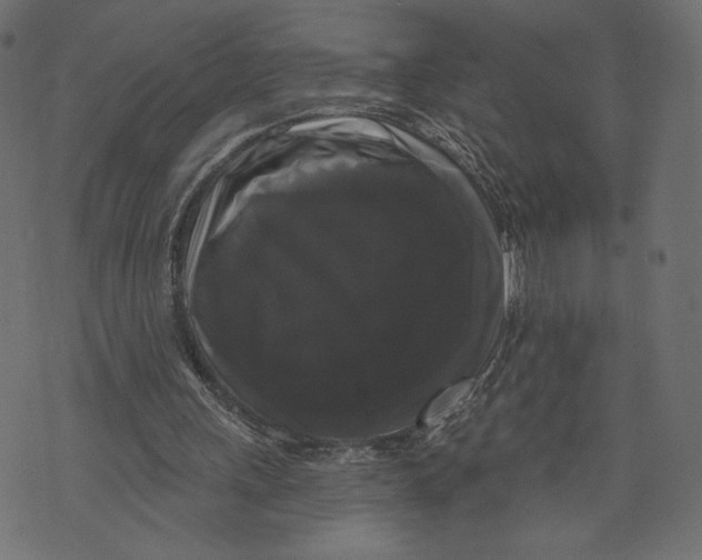 X0000072920243200608181258