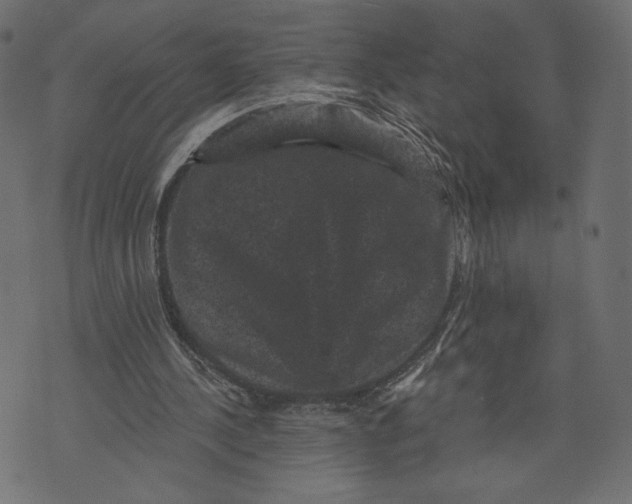 X0000072920244200608181258