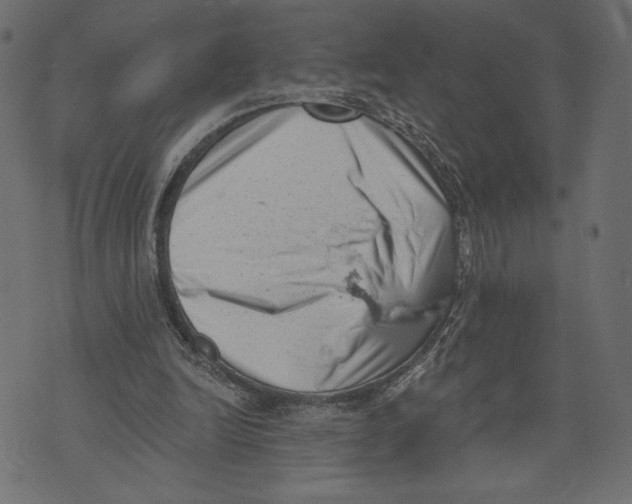 X0000072920246200608181258