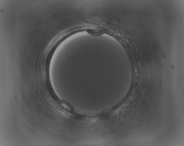 X0000072920247200608181258