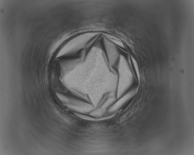 X0000072920248200608181258