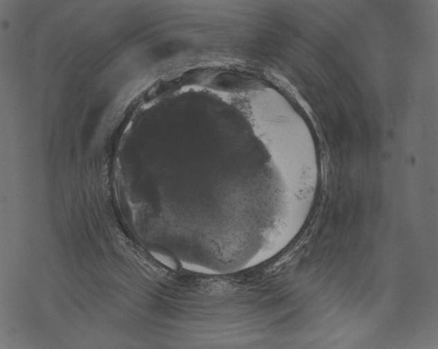 X0000072920249200608181258