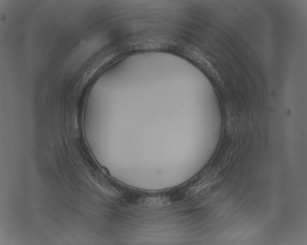 X0000072920251200608181258