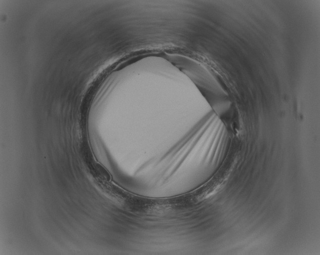 X0000072920252200608181258