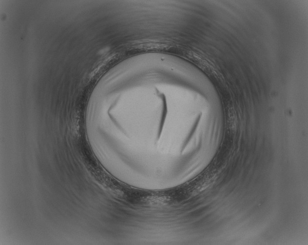 X0000072920255200608181258
