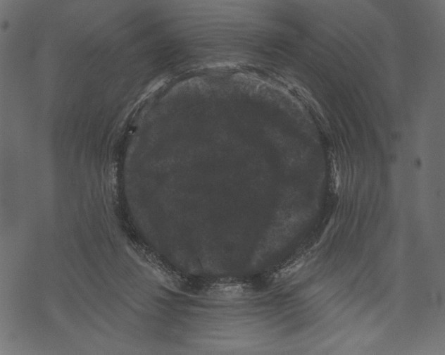 X0000072920260200608181258