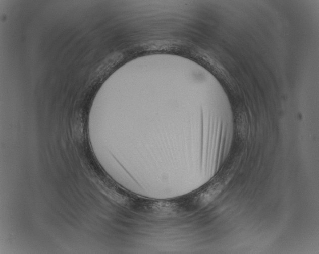X0000072920261200608181258