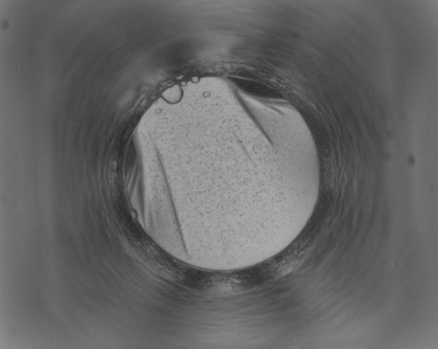 X0000072920263200608181258