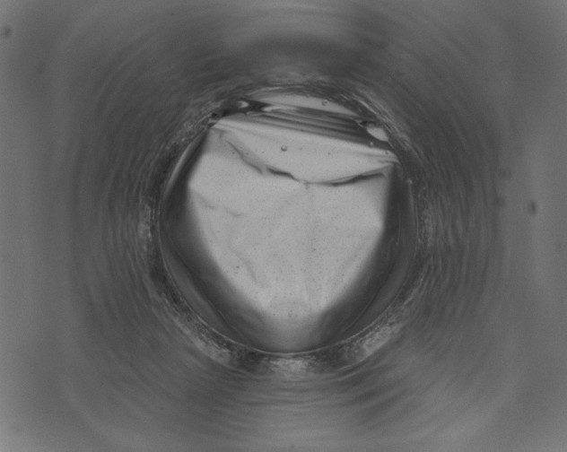 X0000072920265200608181258