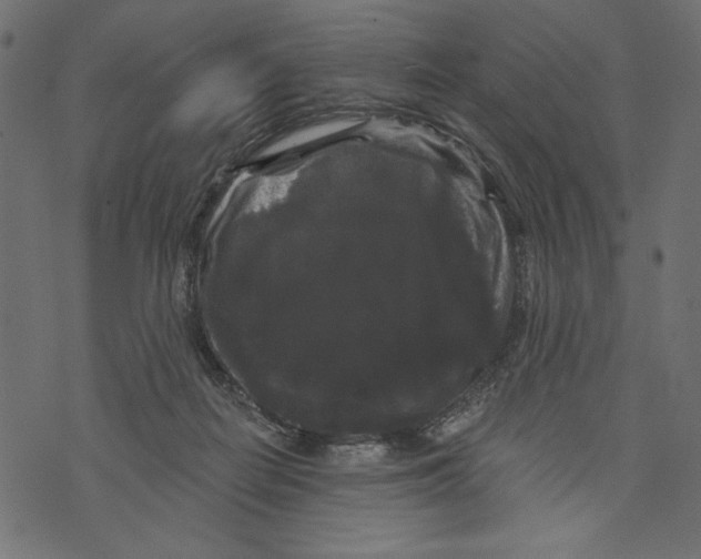 X0000072920266200608181258