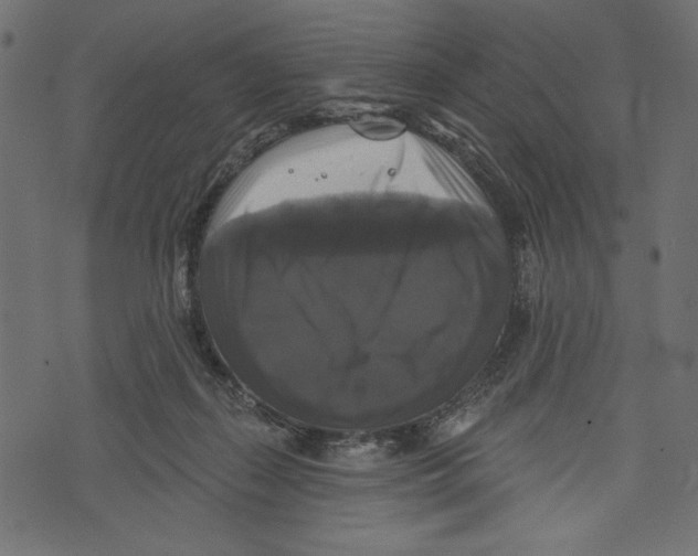 X0000072920267200608181258
