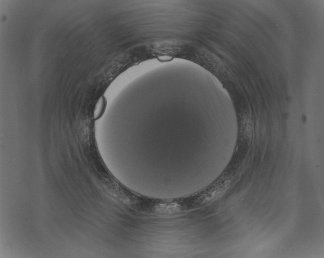 X0000072920271200608181258