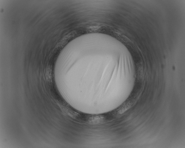 X0000072920274200608181258