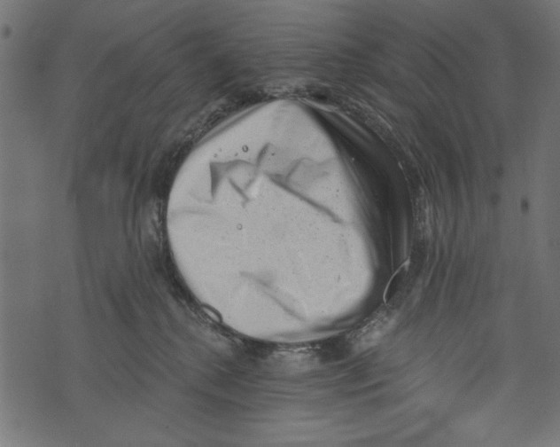 X0000072920280200608181258