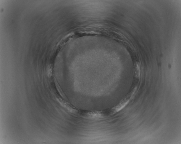 X0000072920284200608181258