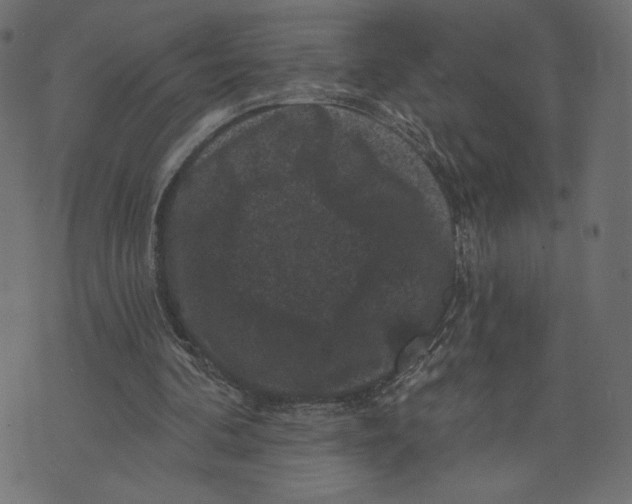 X0000072920292200608181258