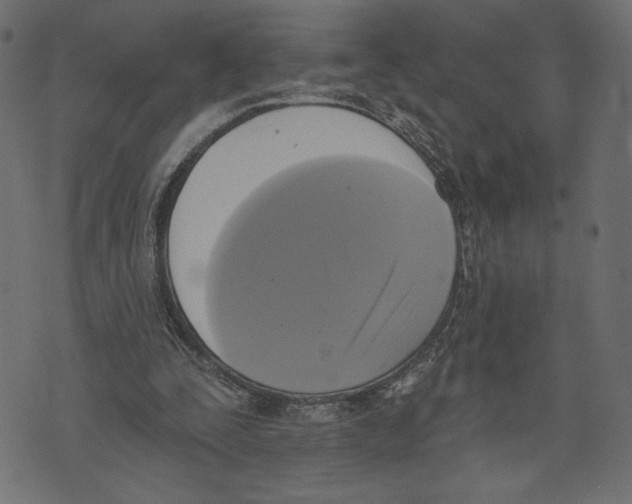 X0000072920295200608181258