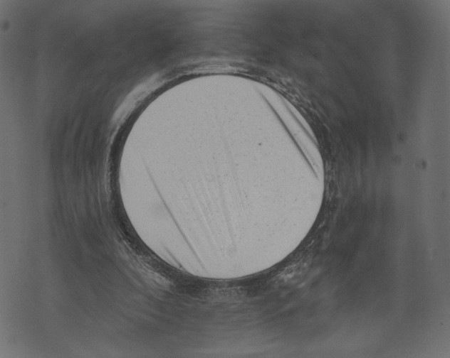 X0000072920296200608181258