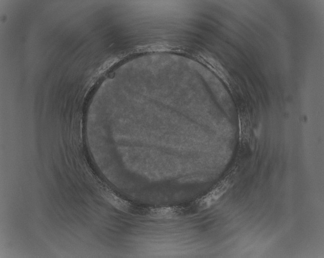 X0000072920301200608181258