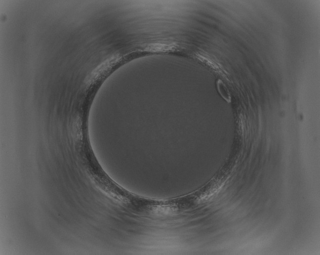 X0000072920303200608181258