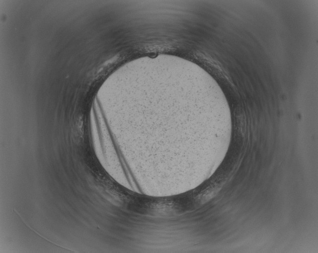 X0000072920308200608181257