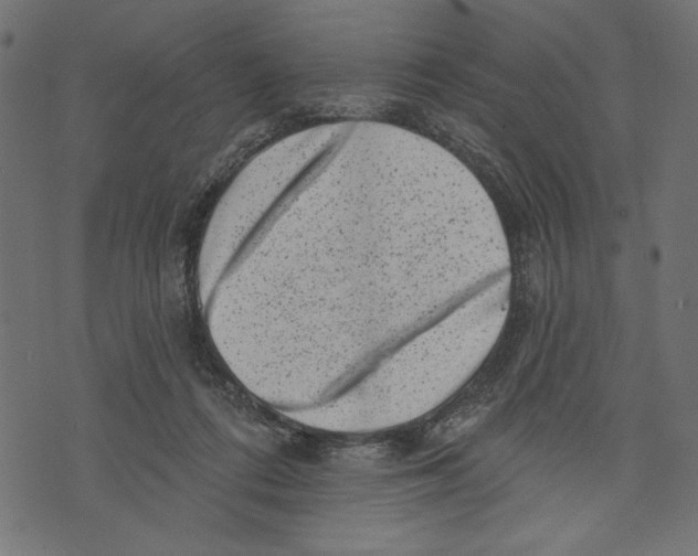 X0000072920312200608181257