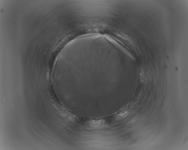 X0000072920314200608181257