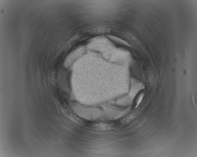 X0000072920326200608181257