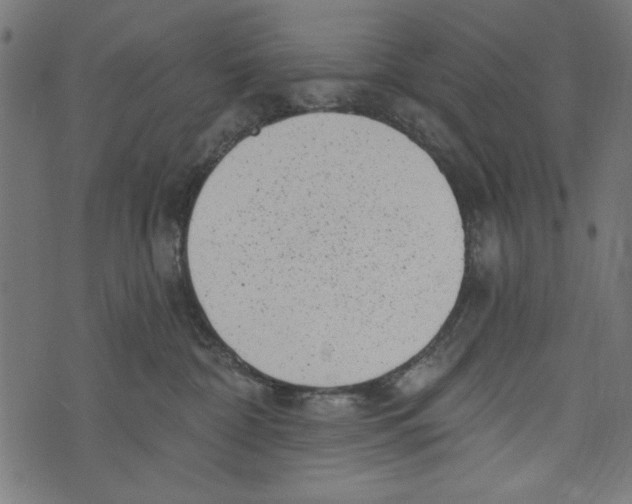 X0000072920332200608181257