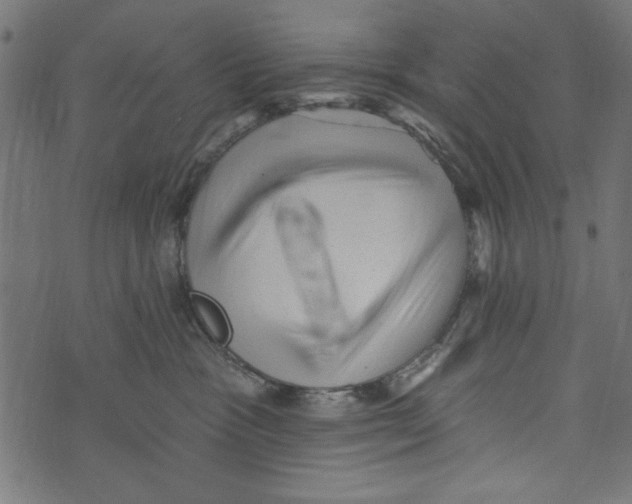 X0000072920333200608181257