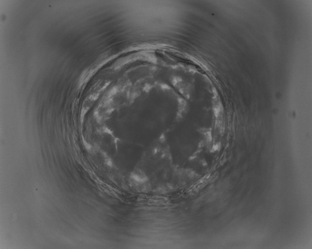 X0000072920337200608181256