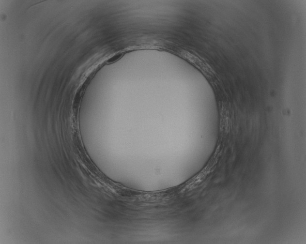 X0000072920338200608181256