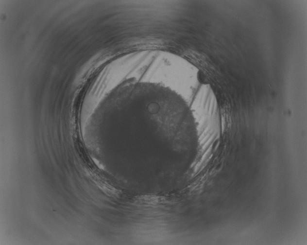 X0000072920339200608181256