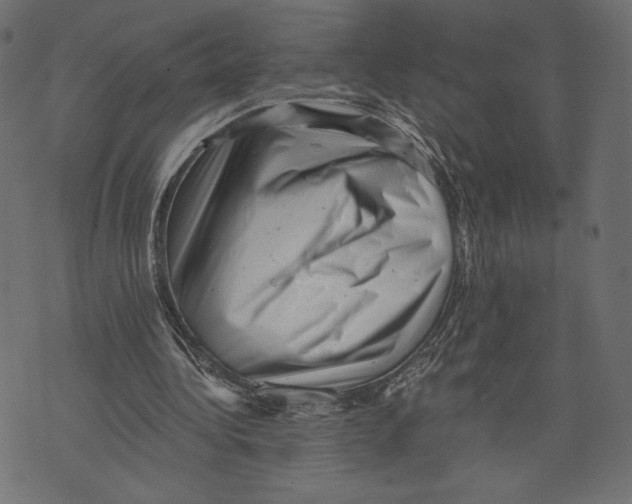 X0000072920340200608181256