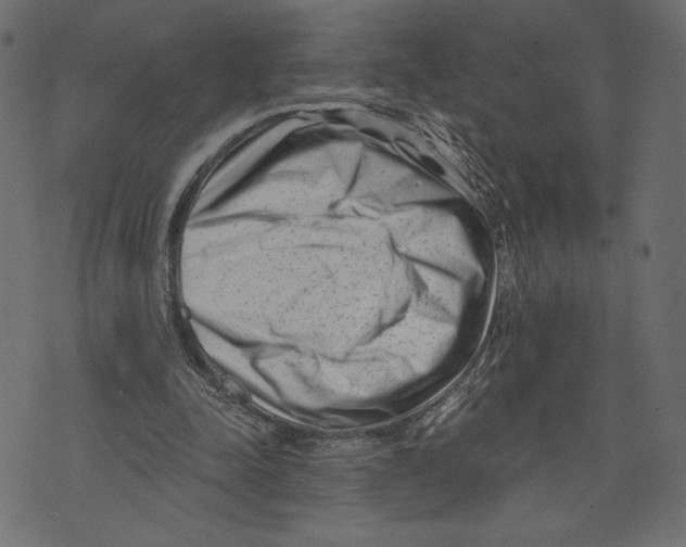 X0000072920342200608181256