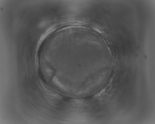 X0000072920343200608181256