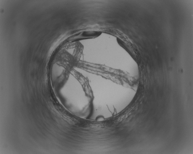 X0000072920344200608181256
