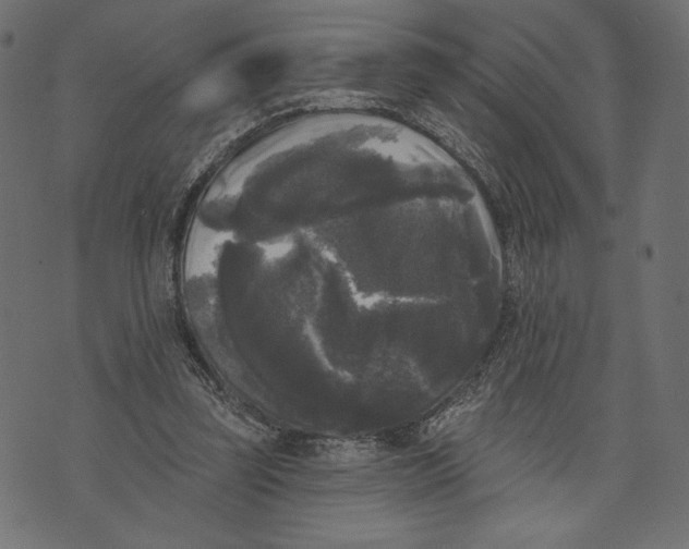 X0000072920347200608181256