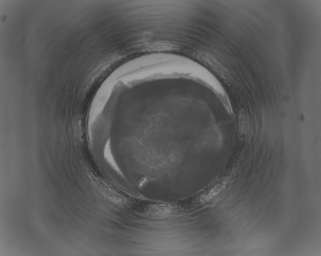 X0000072920351200608181256