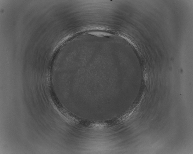 X0000072920352200608181256
