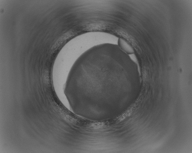 X0000072920353200608181256