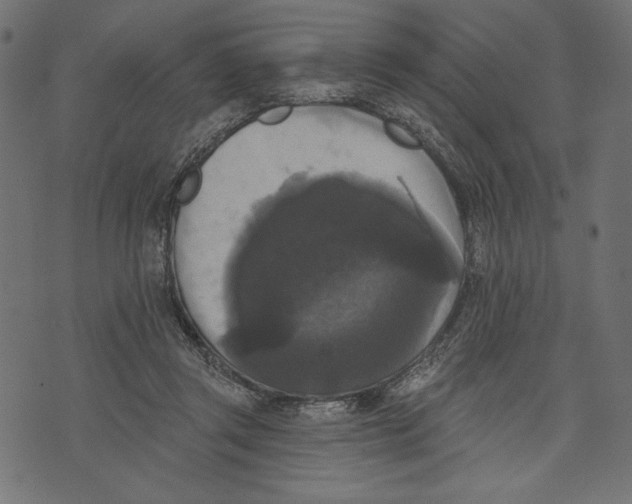 X0000072920357200608181257
