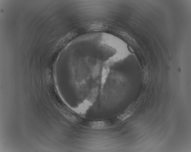 X0000072920361200608181257