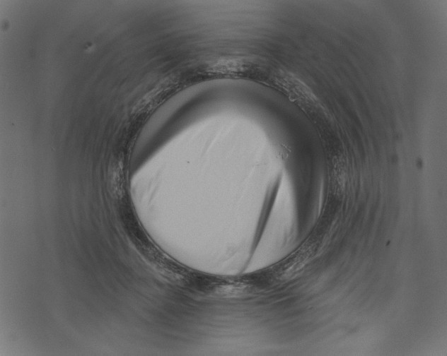 X0000072920364200608181257