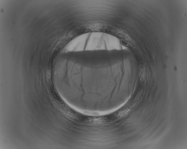 X0000072920365200608181257