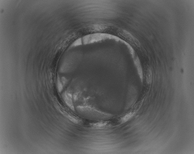 X0000072920366200608181257