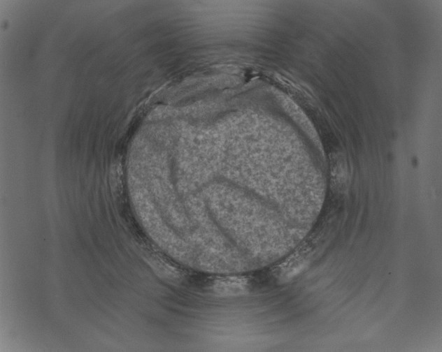 X0000072920369200608181257