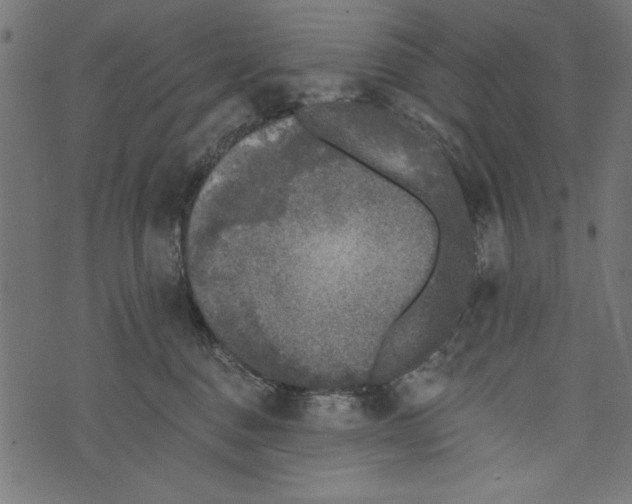 X0000072920376200608181257