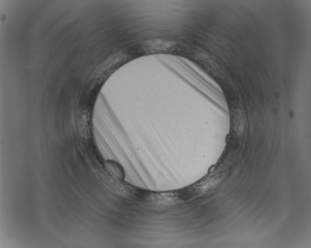 X0000072920378200608181257